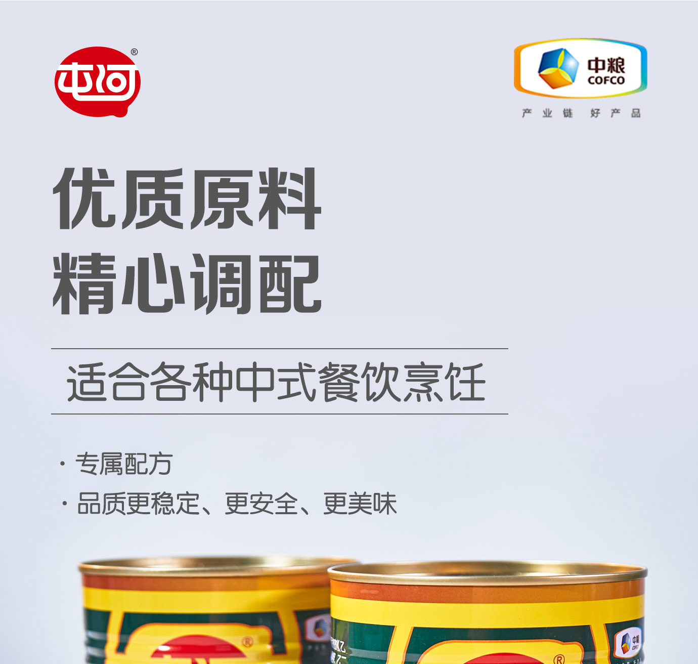 番茄调味酱1kg简介_01.jpg