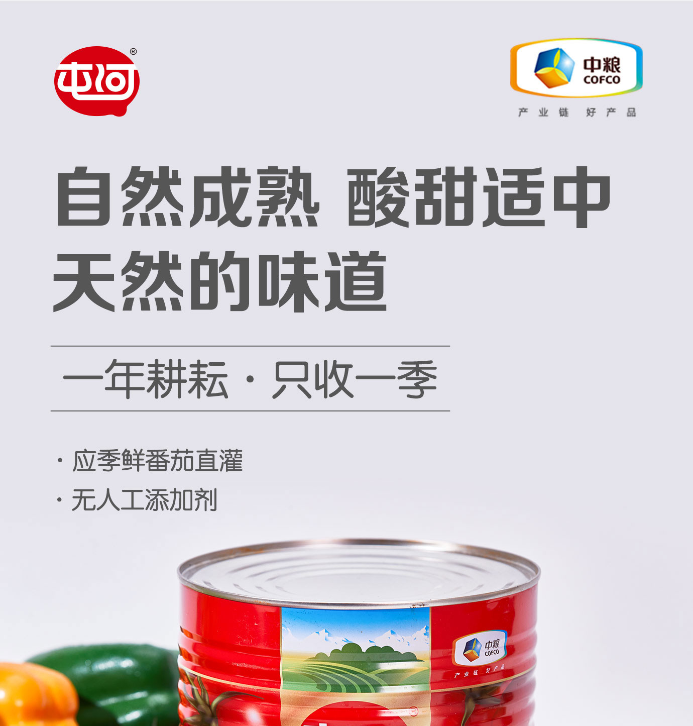 番茄丁2850g简介_01.jpg