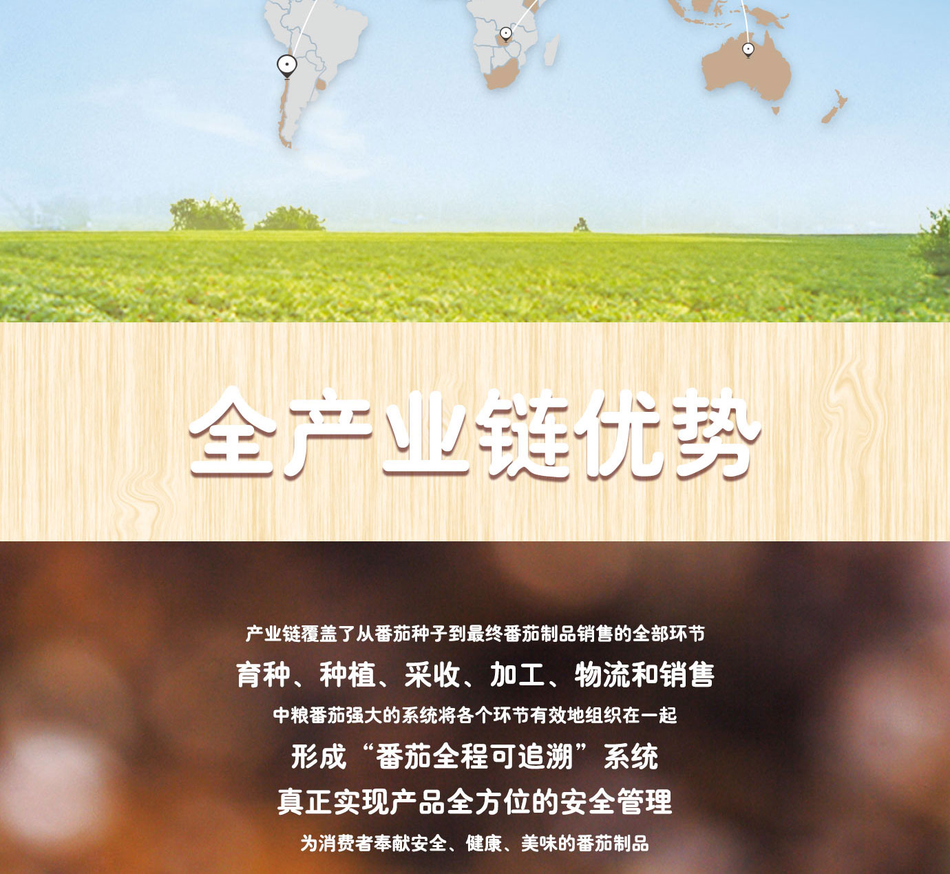 大桶番茄酱简介_05.jpg