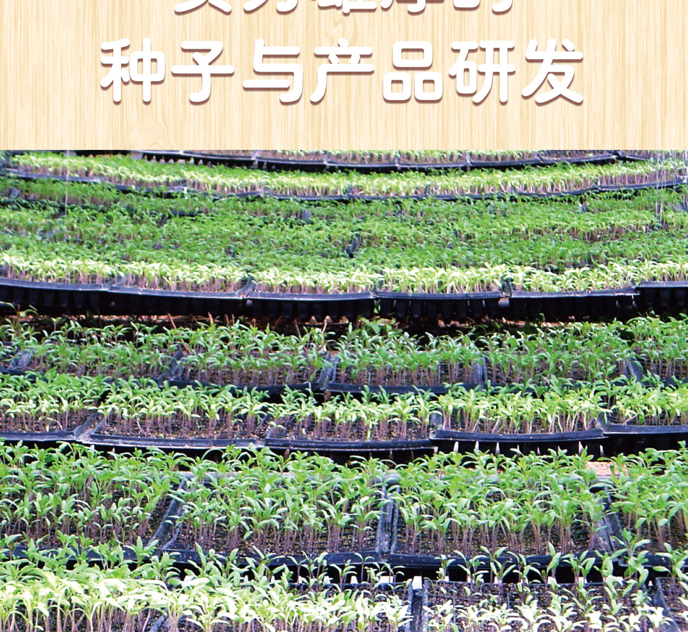 大桶番茄酱简介_07.jpg