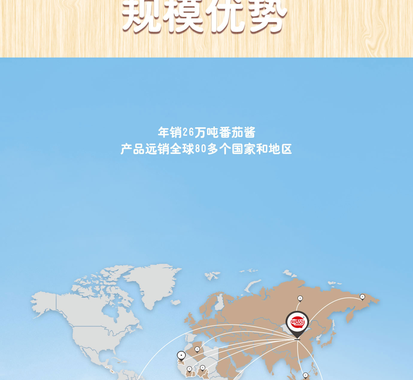 大桶番茄酱简介_04.jpg