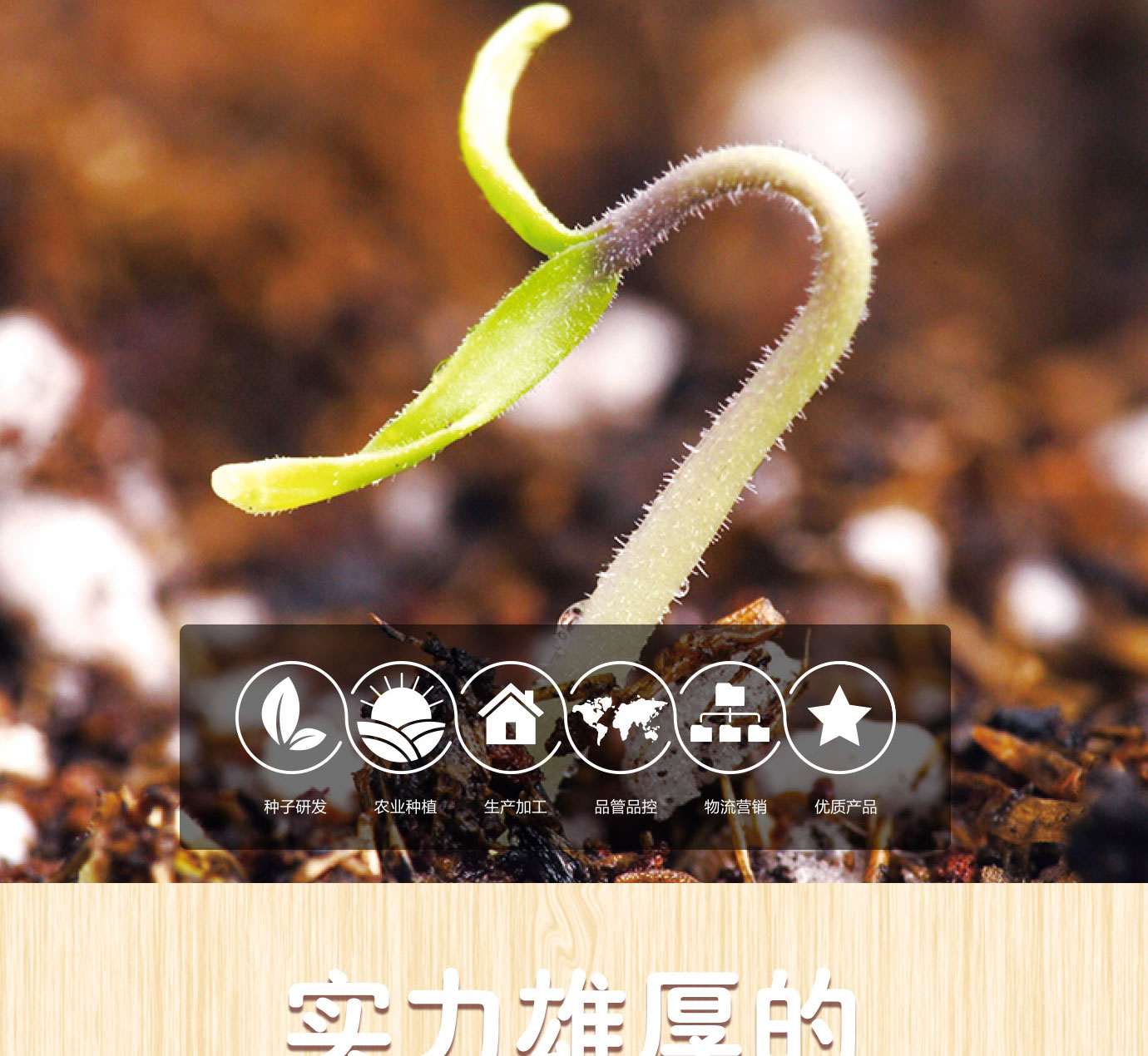 大桶番茄酱简介_06.jpg
