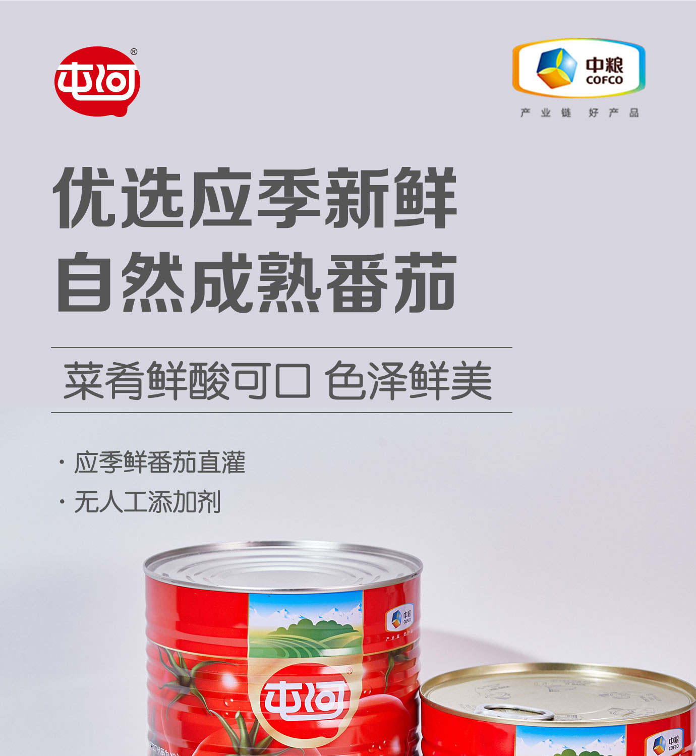 直灌番茄酱3kg简介_01.jpg