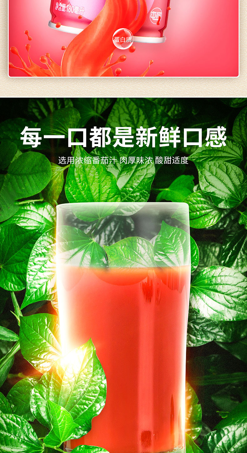 番茄汁饮料180ml简介_05.jpg