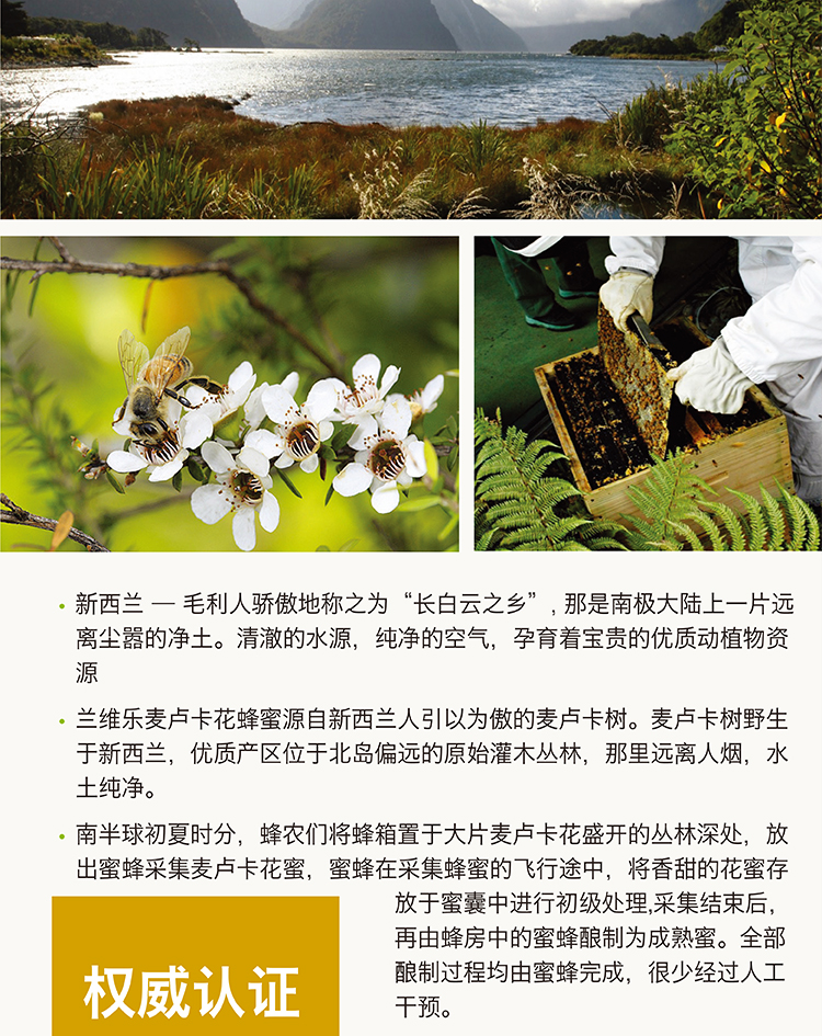 兰维乐麦卢卡蜂蜜介绍5.png