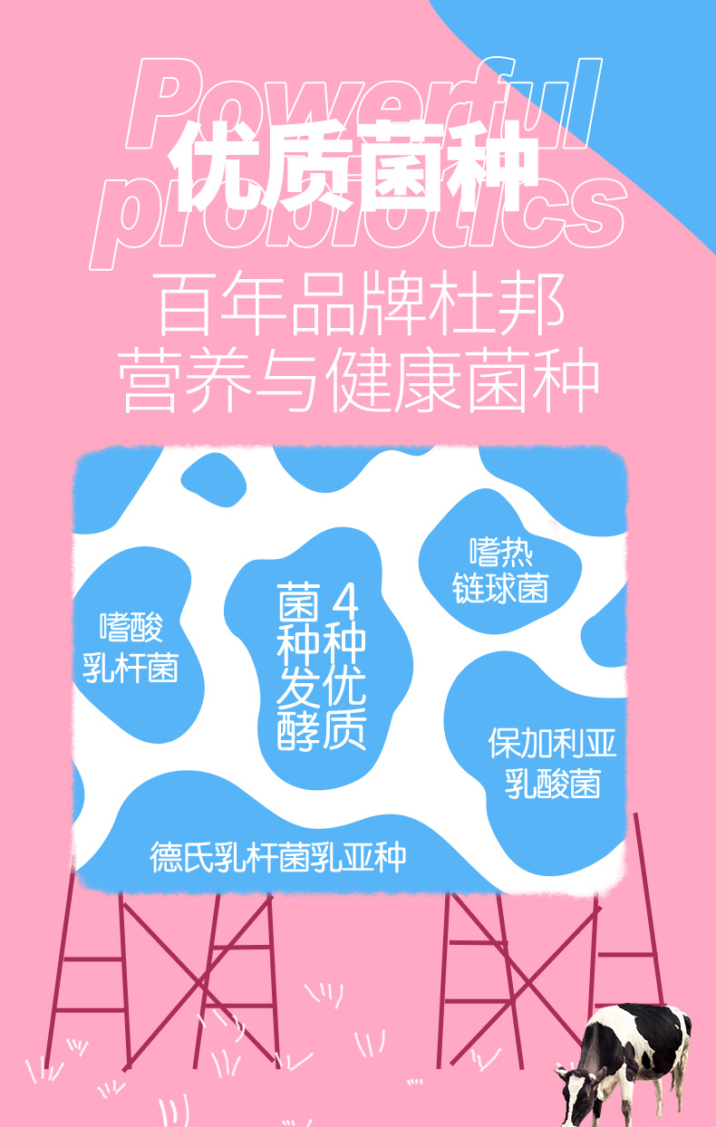 界界乐乳酸菌40瓶蓝莓味简介7.jpeg
