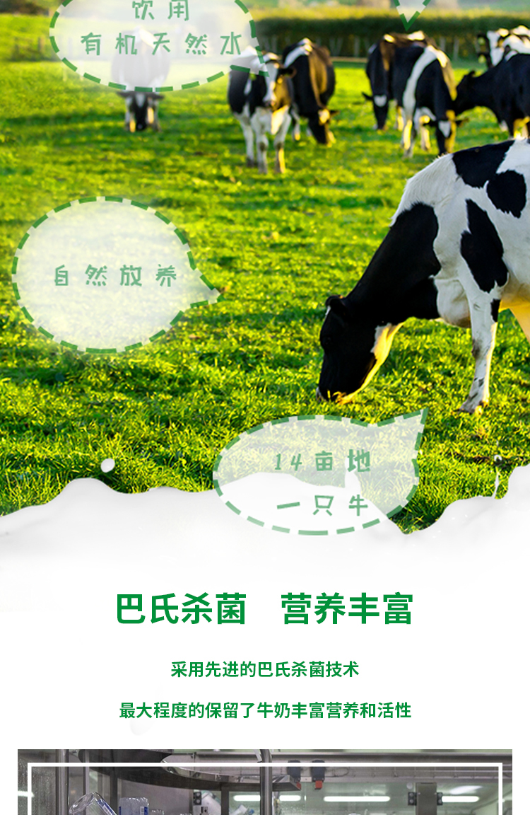 兰维乐有机鲜牛奶介绍4.png