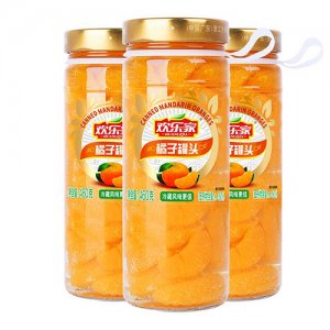 广东欢乐家食品集团股份有限公司