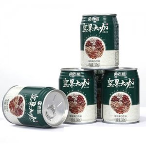 吉远坚果大咖植物蛋白饮品罐