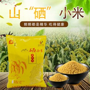 汾东硒小米1kg