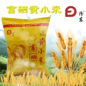 汾东富硒黄小米1kg
