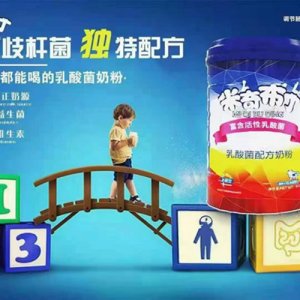 米奇布丁乳酸菌配方奶粉