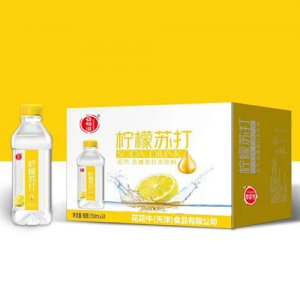 花花牛益畅滋柠檬苏打水350mlx24瓶
