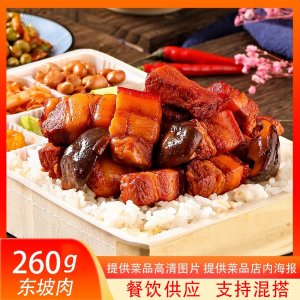 冷冻外卖简餐盖浇饭菜肴包东坡肉260g