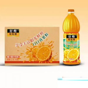 妤嘢粒粒橙橙汁果汁饮料1.8LX6