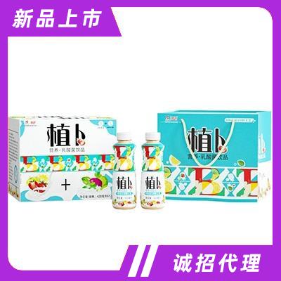 植卜营养型乳酸菌饮品（箱）