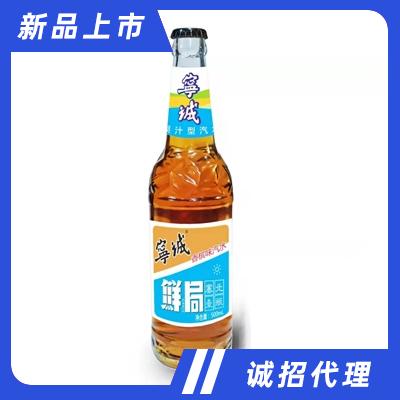 宁诚香槟味汽水招商代理碳酸饮料500ml香槟味