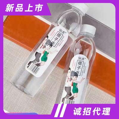 湖南九寨河食品有限公司