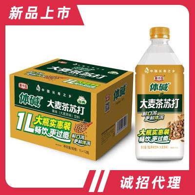 栗子园体碱大麦茶苏打1LX12