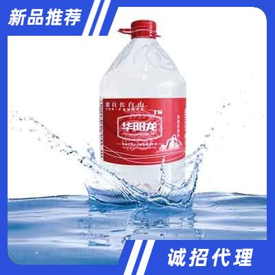 华阳龙天然矿泉水5L