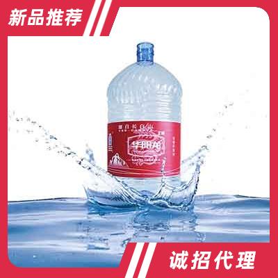 华阳龙天然矿泉水15L