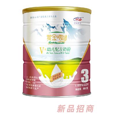 黄金牧场V+幼儿配方奶粉3段听装