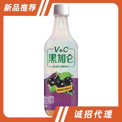 黑加仑含气水果饮料500ml