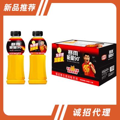 暴雨能量强化维生素风味饮料600mlX15瓶  功能饮料