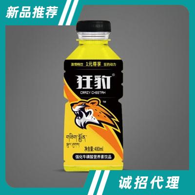 狂豹强化牛磺酸营养素饮品480ml（瓶装）