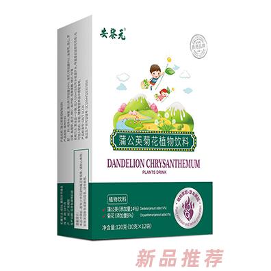 安黎元蒲公英菊花植物饮料