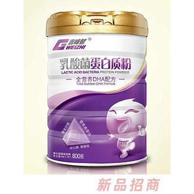 吉味智乳酸菌蛋白质粉 全营养DHA配方