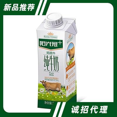 银桥阳光冠＋娟姗牛纯牛奶250ml