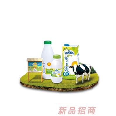 Candia希莱特脱脂牛奶