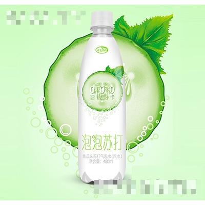 天下水坊泡泡苏打青瓜味苏打气泡水480ml