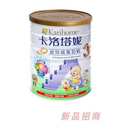 友华股份有限公司