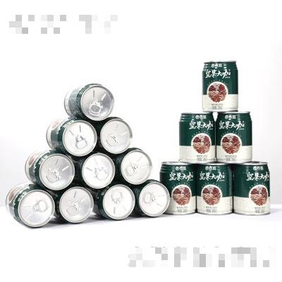 吉远坚果大咖植物蛋白饮品（罐装）