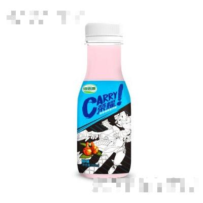 绿思康carry荣耀瓜拉纳风味饮料原味