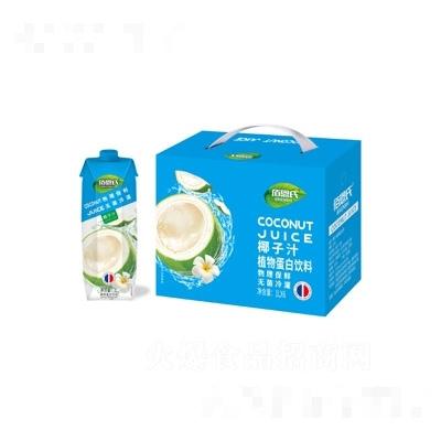 佰恩氏椰子汁植物蛋白饮料1L×6