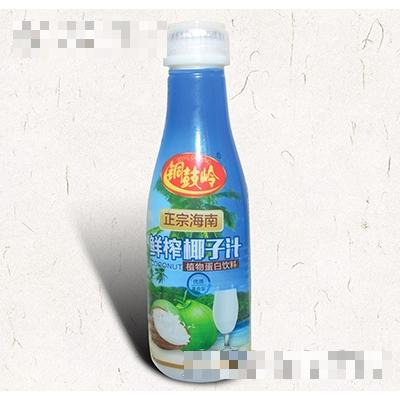 铜鼓岭椰汁500g