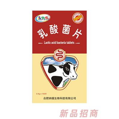鑫纳福乳酸菌片