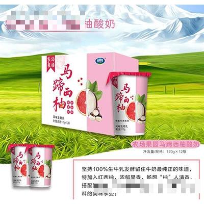 祁牧农场果园马蹄西柚酸奶170g×12瓶