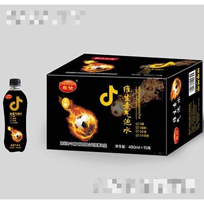 程仕维生素气泡水480mlx15