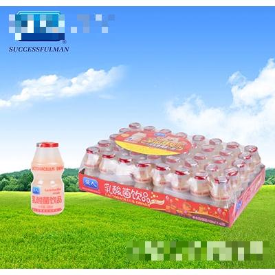 强人乳酸菌100mlx40