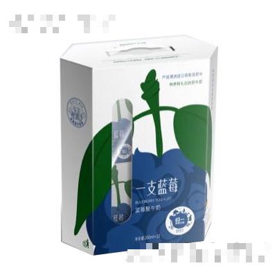 归一一支蓝莓蓝莓酸牛奶200mlx12盒