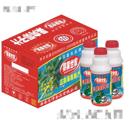 500mlx15PT瓶果肉椰汁
