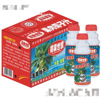 380mlx15PT果肉椰汁