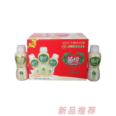 菌悦乳酸菌4