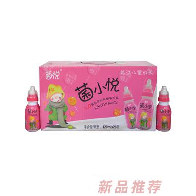 菌悦菌小悦6