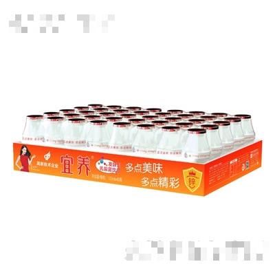 宜养强化锌酸菌饮品100mlX40