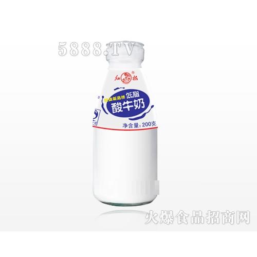 红梅低脂酸牛奶（玻璃瓶）